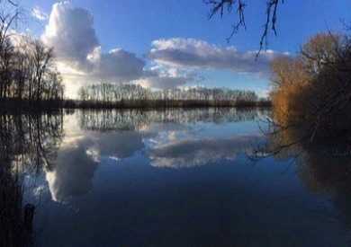 Moorland Fisheries