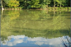 Moorland Fisheries