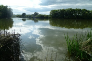 Moorland Fisheries